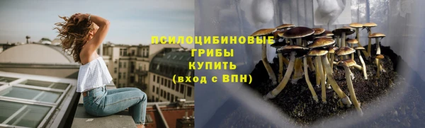 соль ск Белокуриха