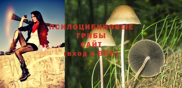MDMA Premium VHQ Беломорск