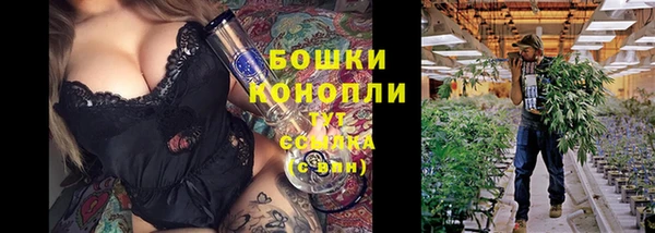 соль ск Белокуриха
