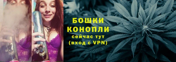 соль ск Белокуриха